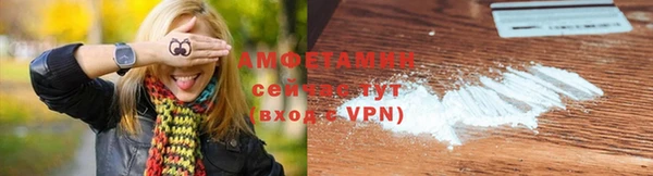 молекула духа Вязьма