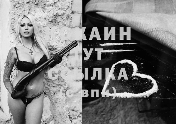 стафф Волоколамск