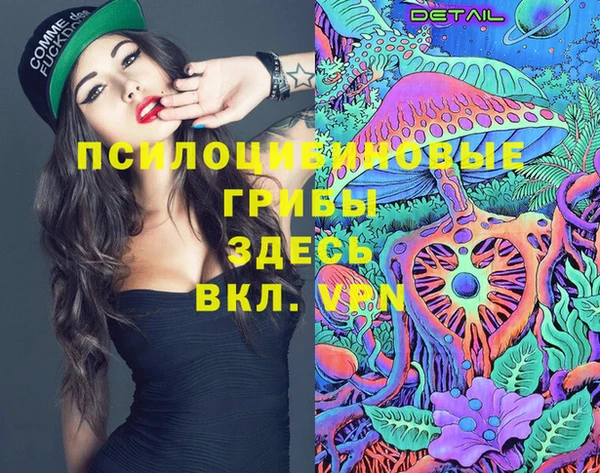 стафф Волоколамск