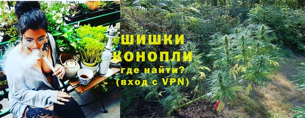 индика Бронницы