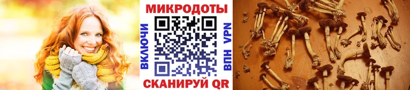 наркотики  OMG зеркало  Галлюциногенные грибы Cubensis  Иннополис 